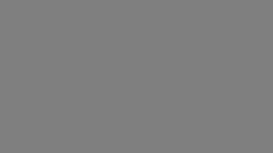 Placeholder asset.png