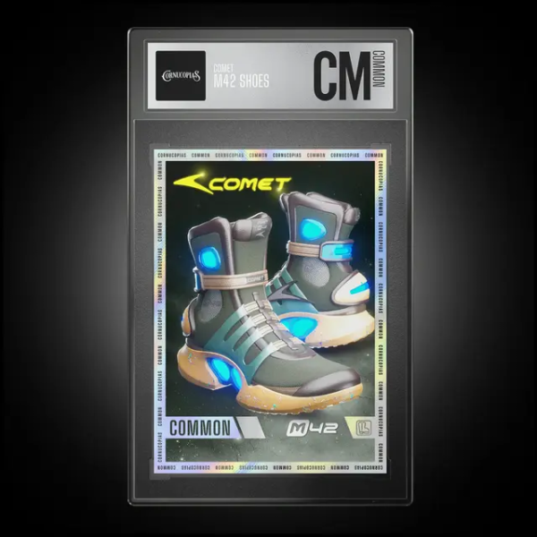 File:Comet M42 shoes cm.png